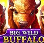 big-wild-buffalo Lucky Circus AU