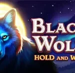 black-wolf